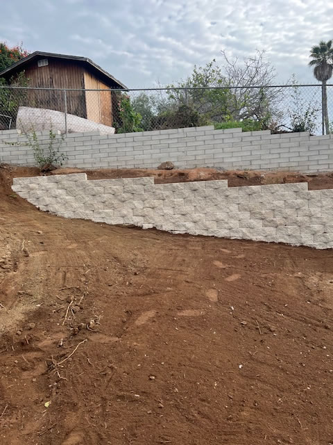 backyard 2