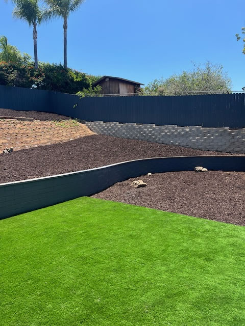 backyard 3