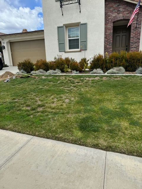 front yard 1